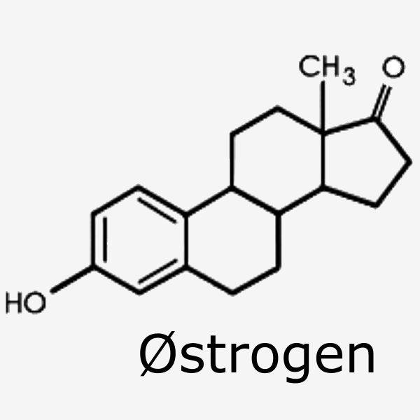 Østrogen