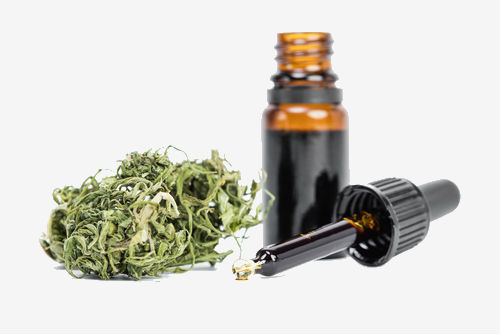 Cannabisolje klar til bruk